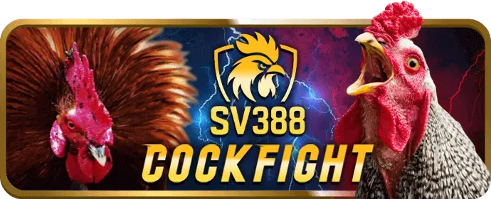 Tổng quan nền tảng ok3865 nhà cái casino